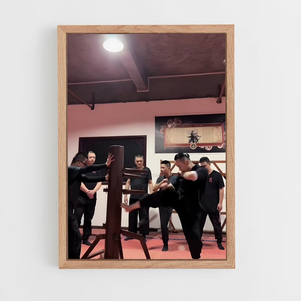 Poster Maîtres du Wing Chun (vue 4)